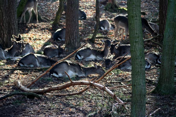 Killikus® Fotographie Killikus® Fotographie